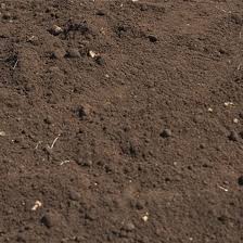 Topsoil Delivery available in Barnet, Cockfosters and North London